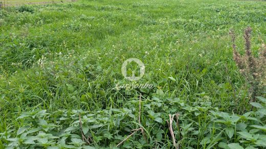 Grundstück in Vila do Conde, Distrito do Porto