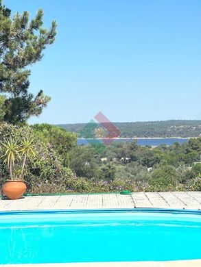 Rural or Farmhouse in Ponte de Sôr, Ponte de Sor