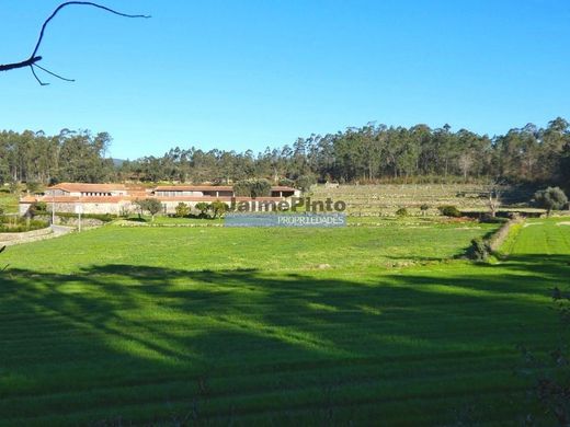 Αγροτεμάχιο σε Barcelos, Distrito de Braga