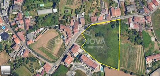 Участок, Майя, Maia