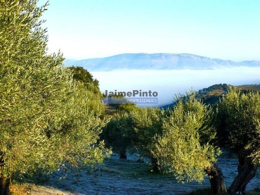 Grond in Figueira de Castelo Rodrigo, Distrito da Guarda