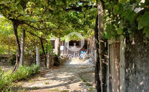 ﻣﻨﺰﻝ ﺭﻳﻔﻲ/ ﺑﻴﺖ ﻤﺰﺭﻋﺔ ﻓﻲ Barcelos, Distrito de Braga