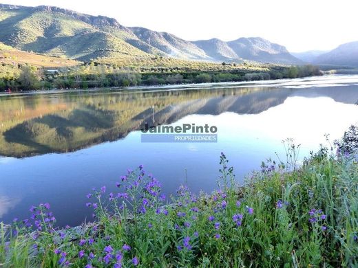 Rural or Farmhouse in Vila Nova de Foz Côa, Distrito da Guarda