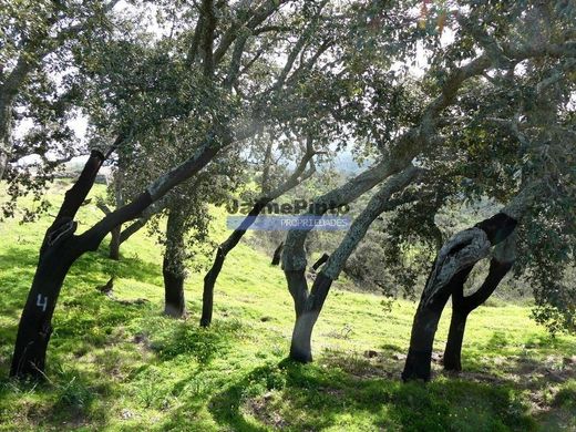 Arsa Almodôvar, Distrito de Beja