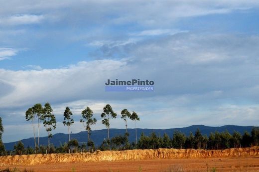 Αγροτεμάχιο σε Albergaria-a-Velha, Albergaria-A-Velha