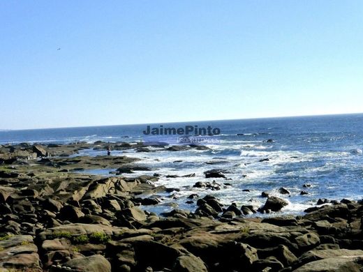 호화 저택 / Caminha, Distrito de Viana do Castelo