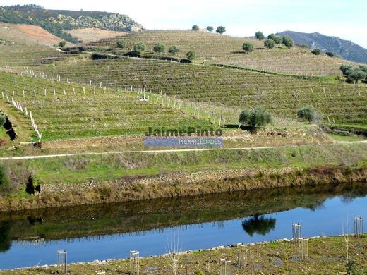 ﻣﻨﺰﻝ ﺭﻳﻔﻲ/ ﺑﻴﺖ ﻤﺰﺭﻋﺔ ﻓﻲ Carrazeda de Anciães, Carrazeda de Ansiães