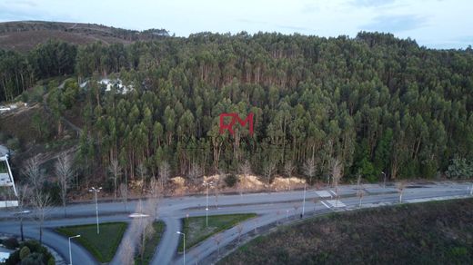 Terrain à Valongo, Distrito do Porto