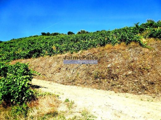 Demeure ou Maison de Campagne à Alijó, Distrito de Vila Real