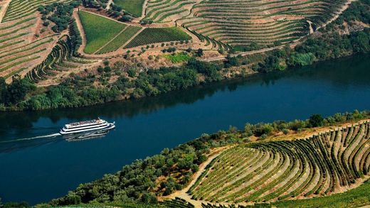 토지 / 빌라노바드가이아
, Vila Nova de Gaia