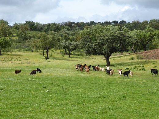 Rural or Farmhouse in Portel, Distrito de Évora