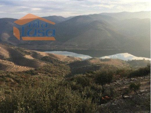 전원/농가 / Torre de Moncorvo, Distrito de Bragança