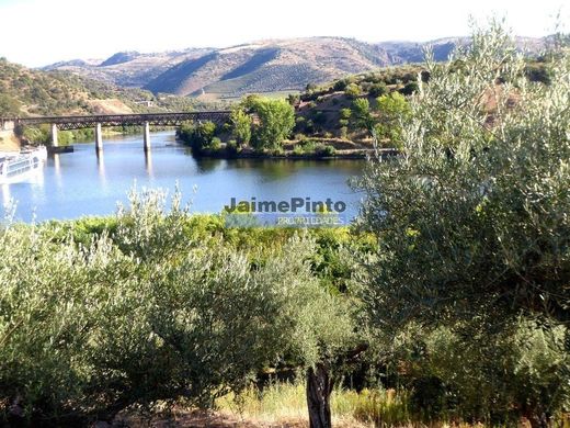 Αγροτεμάχιο σε Freixo de Espada à Cinta, Freixo de Espada À Cinta