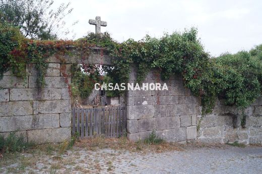 Rural or Farmhouse in Marco de Canaveses, Distrito do Porto