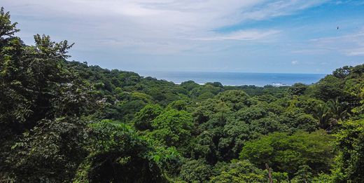 Terrain à Nosara, Nicoya