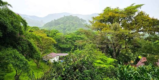 Farma w Cartago, Cantón de Cartago