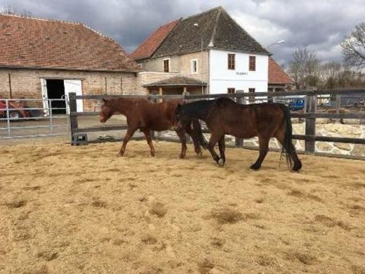 Casa de luxo - Ziersdorf, Politischer Bezirk Hollabrunn