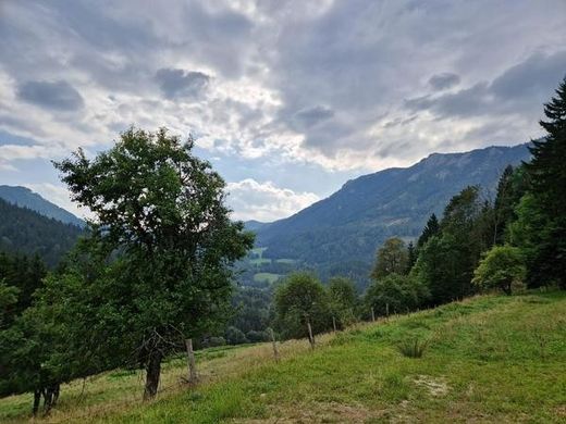 农场  Schwarzau im Gebirge, Politischer Bezirk Neunkirchen