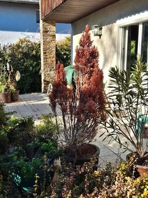 豪宅  格拉茨, Graz Stadt