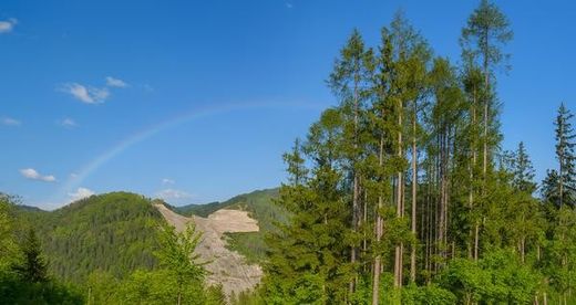 Luxe woning in Ramsau, Politischer Bezirk Lilienfeld