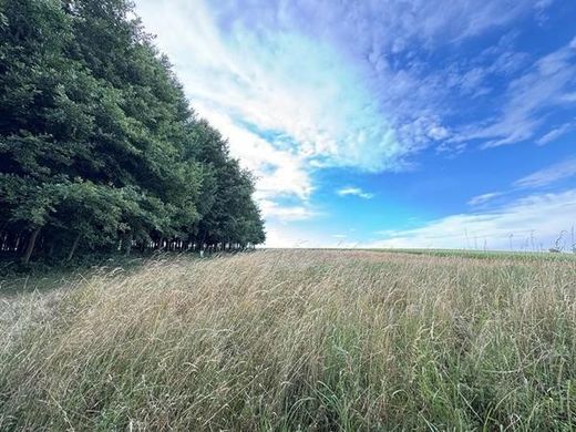 Bauernhof in Grossgraben, Politischer Bezirk Sankt Pölten