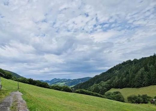 Farma w Frankenfels, Politischer Bezirk Sankt Pölten