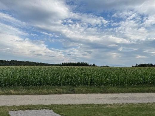 农场  Grossgraben, Politischer Bezirk Sankt Pölten