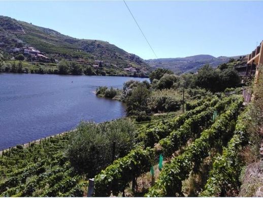 Komplex apartman Vila Marim, Mesão Frio