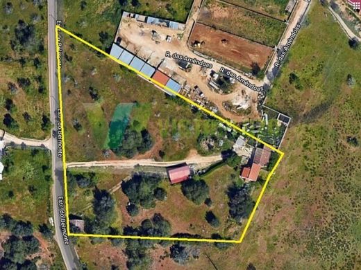 Fattoria a Portimão, Distrito de Faro