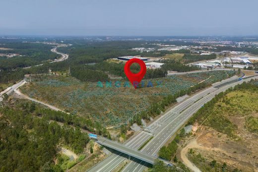 地皮  Marinha Grande, Distrito de Leiria