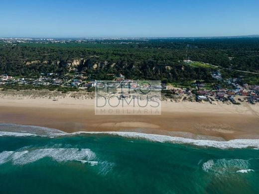 Villa in Charneca de Caparica, Almada