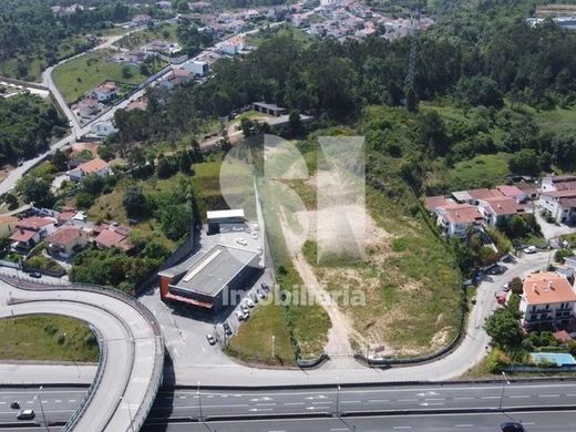 Land in Santa Clara, Coimbra