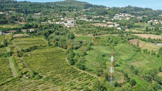 Farma w Infantas, Guimarães