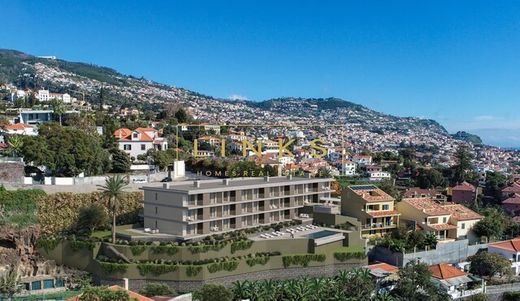 Apartamento - Funchal, Madeira