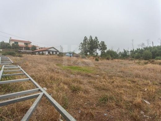 Teren w Camacha, Santa Cruz