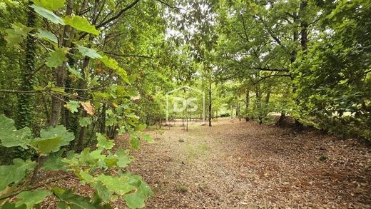 농장 / Misarela, Guarda