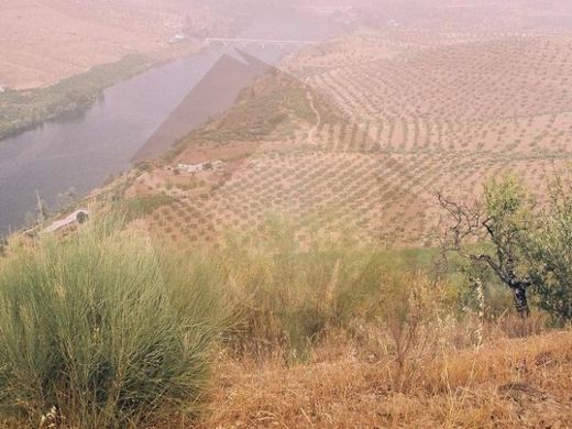 Farm in Escalhão, Figueira de Castelo Rodrigo