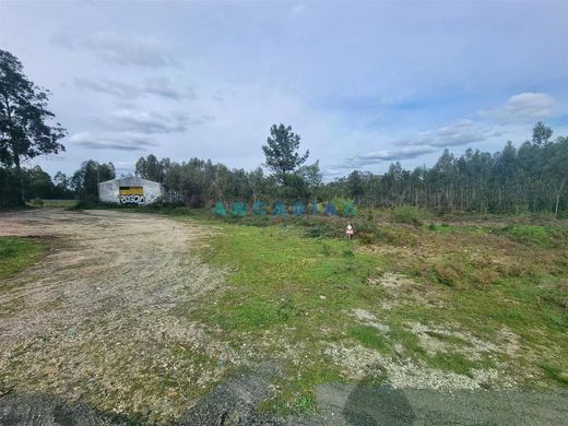 Teren w Marinha Grande, Distrito de Leiria