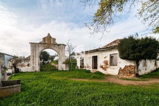 Campo Maior, Distrito de Portalegreの農園