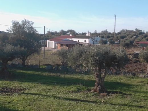 Terreno en São Pedro do Corval, Reguengos de Monsaraz