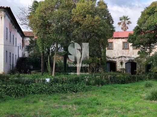 Kamienica w Arcos, Anadia