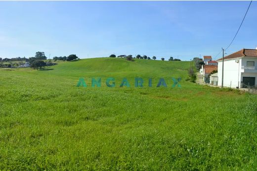 Land in Aveiras de Cima, Azambuja