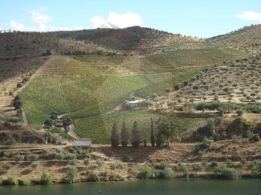 Farm in Escalhão, Figueira de Castelo Rodrigo