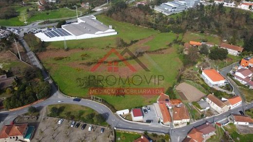 Land in Campo, Santo Tirso