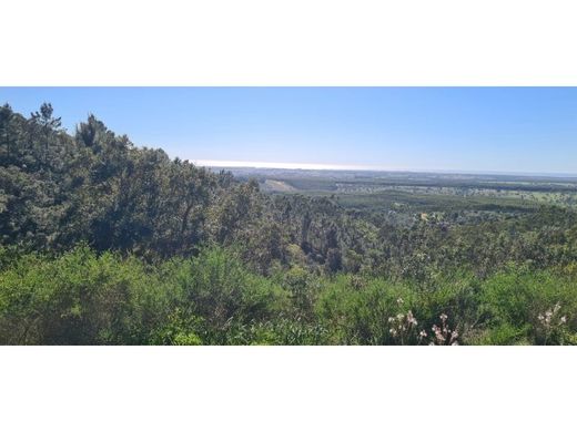 Farma w Vila Nova de Milfontes, Odemira