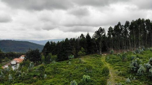 Terreno a Vieira do Minho, Distrito de Braga