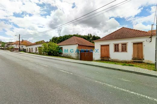 Terreno en Batalha, Leiria