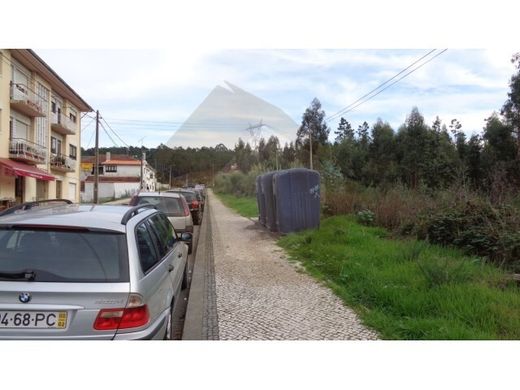 São João da Madeira, Distrito de Aveiroの土地