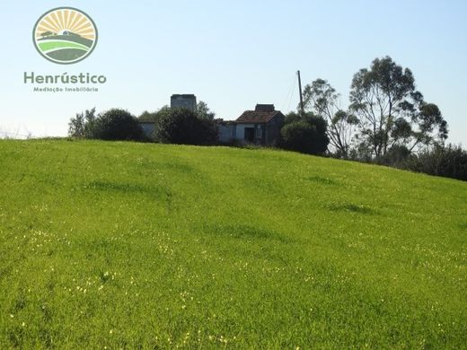 Boerderij in Santiago do Cacém, Distrito de Setúbal