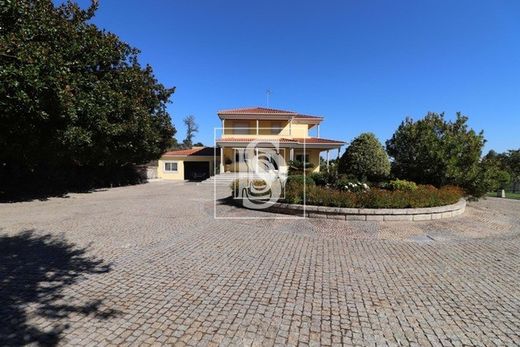 Villa in Abade de Neiva, Barcelos